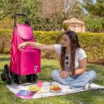 2025 06 30 Carros de la compra con bolsa termica para congelados Garmol Carro Compras shopping trolley Einkaufswagen chariot de courses
