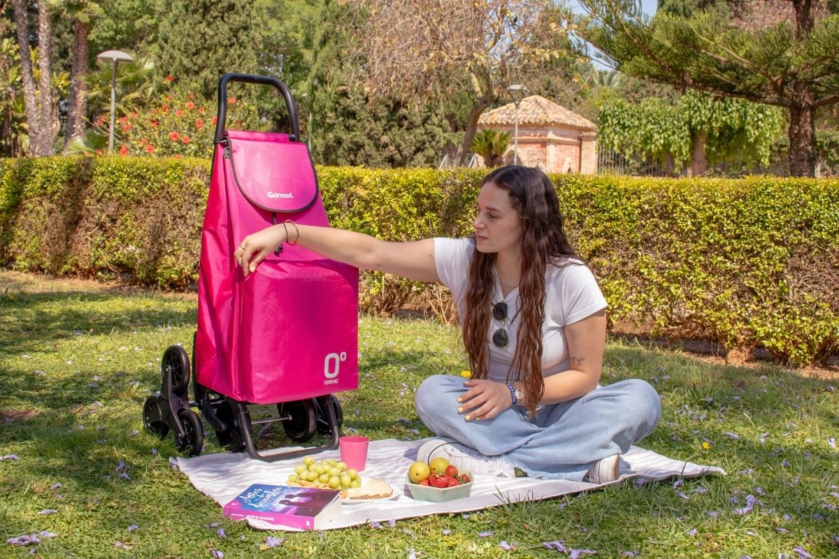 Hora de conocer los carritos de la compra con bolsa térmica