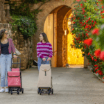 2025 07 28 Donde comprar un carrito de la compra carrito para la compra Garmol Carro Compras shopping trolley Einkaufswagen chariot de courses